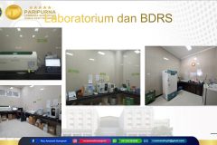 Pelayanan Laboratorium Klinik